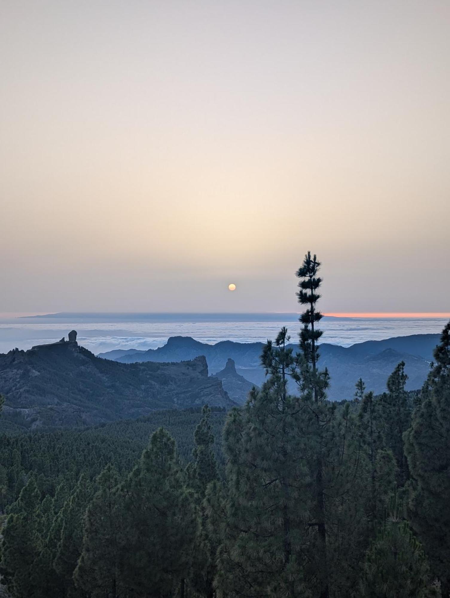 Tamaran House Vandrehjem Las Palmas de Gran Canaria Eksteriør billede